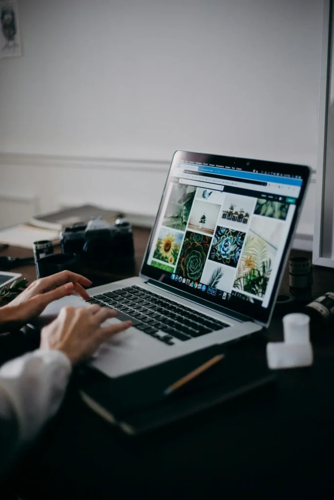 Web Design Sevices